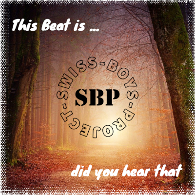 SBP - This Beat Is ... Did You Hear That